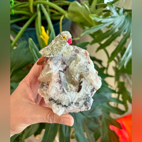 Parrot Carving on Calcite - Picture 3 of 6